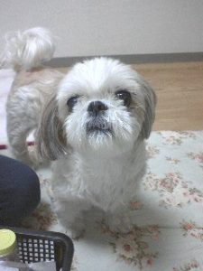 楽紀